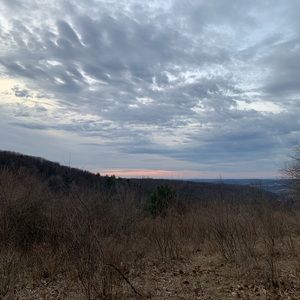 Meet your Posher, Bridget